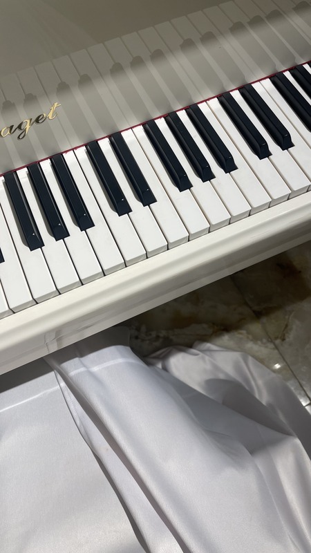 The-pianist-Sahar
