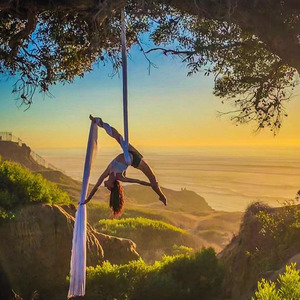 monika-pann-calanthe