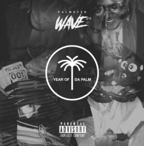 palmetto-wave