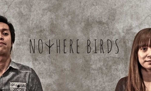 nowhere-birds
